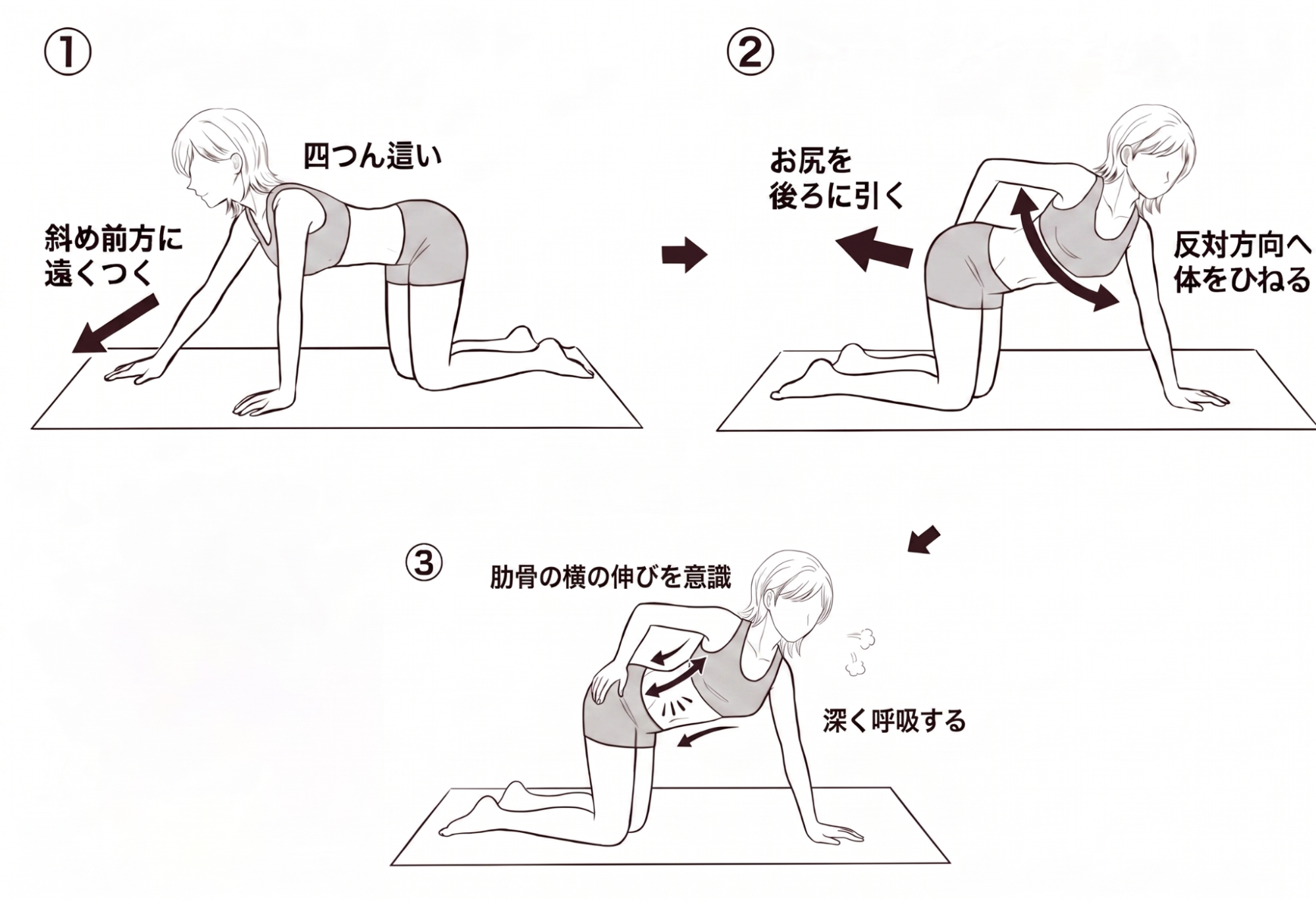 広背筋　前鋸筋　ストレッチ