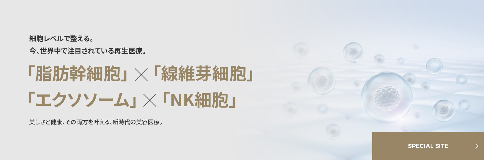 再生医療